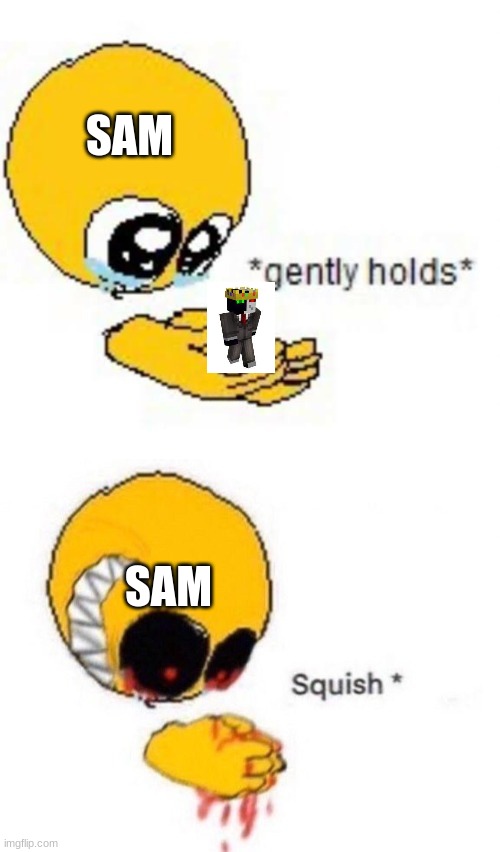 :') | SAM; SAM | image tagged in gently holds squish,ranboo,awesamedude | made w/ Imgflip meme maker