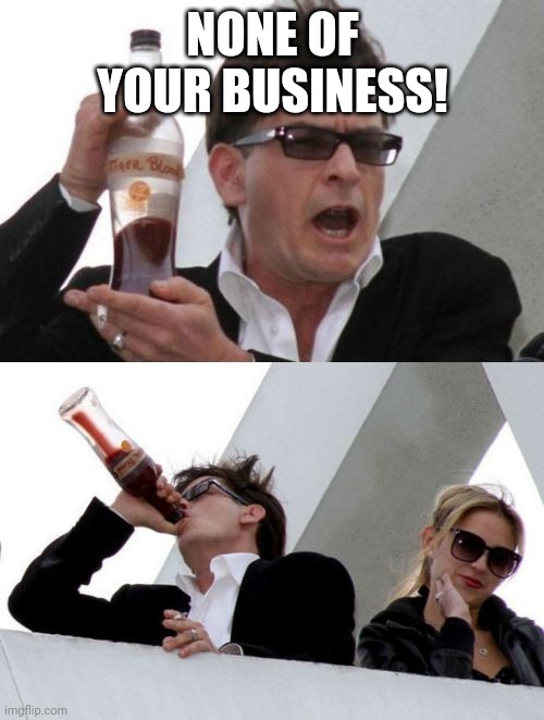 Charlie Sheen none of your business | NONE OF YOUR BUSINESS! | image tagged in charlie sheen none of your business | made w/ Imgflip meme maker