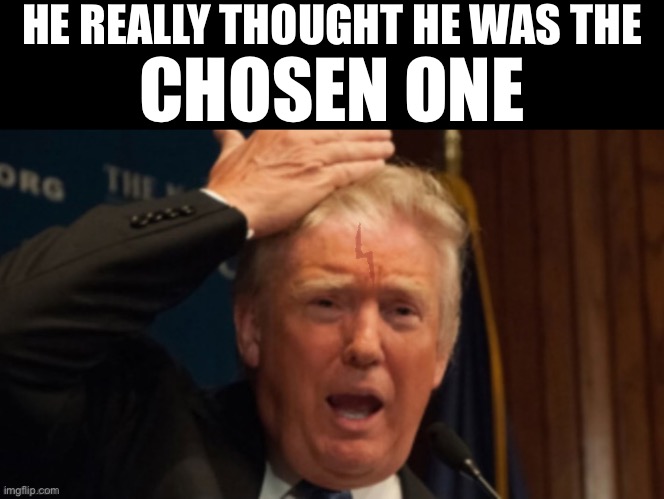 The ‘Chosen One’ Donald Trump Harry Potter | HE REALLY THOUGHT HE WAS THE; CHOSEN ONE | image tagged in memes,donald trump,politics,harry potter,conservatives,usa | made w/ Imgflip meme maker