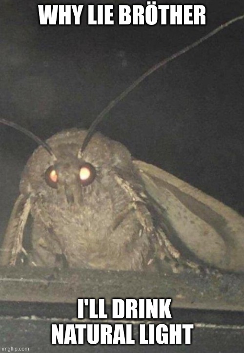 Salient Visitor | WHY LIE BRÖTHER; I'LL DRINK NATURAL LIGHT | image tagged in moth,memes,funny | made w/ Imgflip meme maker