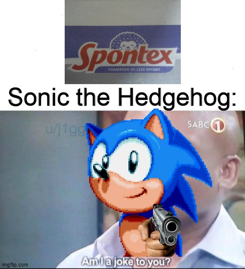 Spontex the Hedgehog | Sonic the Hedgehog: | image tagged in sonic the hedgehog,sonic,memes,am i a joke to you,funny,funny memes | made w/ Imgflip meme maker