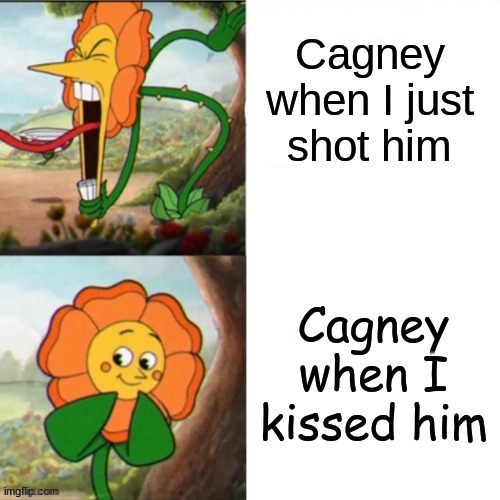 me vs cagney carnation | Cagney when I just shot him; Cagney when I kissed him | image tagged in sunflower,cagney carnation,cuphead flower,cuphead | made w/ Imgflip meme maker