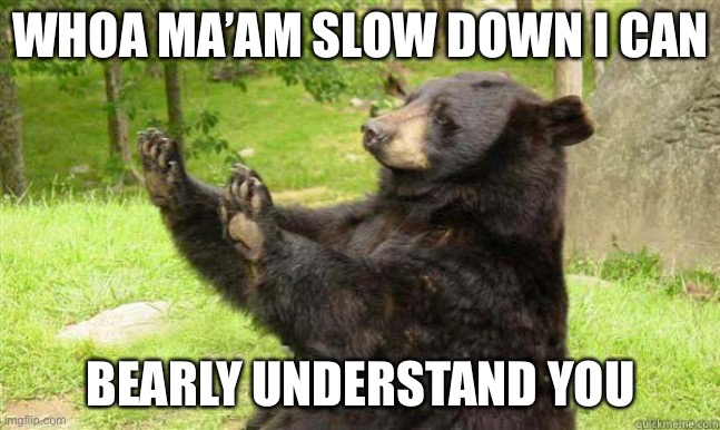 How about no bear | WHOA MA’AM SLOW DOWN I CAN; BEARLY UNDERSTAND YOU | image tagged in how about no bear | made w/ Imgflip meme maker