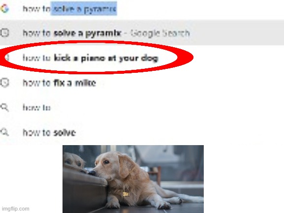 poor dog | image tagged in doge,sad dog,google search,results | made w/ Imgflip meme maker