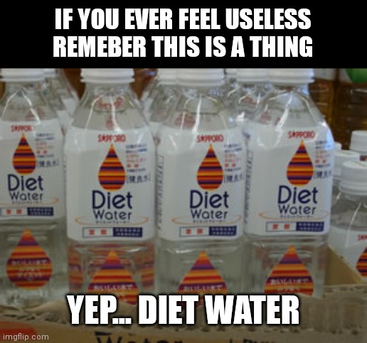 if you ever feel useless | IF YOU EVER FEEL USELESS REMEBER THIS IS A THING; YEP... DIET WATER | image tagged in stupid,memes,funny,diet water | made w/ Imgflip meme maker