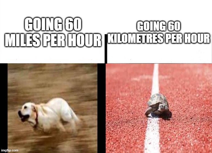 wow, that snail if fast |  GOING 60 KILOMETRES PER HOUR; GOING 60 MILES PER HOUR | image tagged in memes,funny,turtle,dog | made w/ Imgflip meme maker