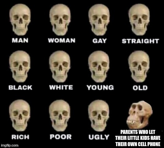 Another Meme | PARENTS WHO LET THEIR LITTLE KIDS HAVE THEIR OWN CELL PHONE | image tagged in idiot skull | made w/ Imgflip meme maker