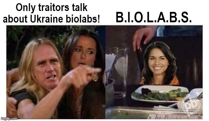 Democrat, accusing another Democrat of being a traitor. | B.I.O.L.A.B.S. Only traitors talk about Ukraine biolabs! | image tagged in rino,ukraine,mitt romney | made w/ Imgflip meme maker