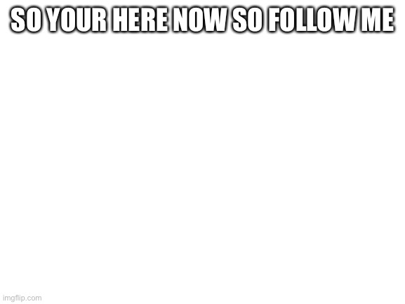 Blank White Template | SO YOUR HERE NOW SO FOLLOW ME | image tagged in blank white template | made w/ Imgflip meme maker