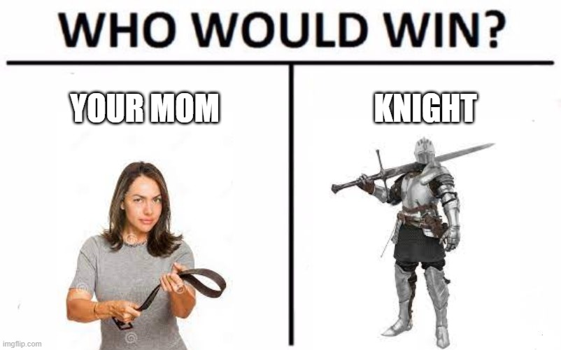 Who Would Win? Meme | YOUR MOM; KNIGHT | image tagged in memes,who would win | made w/ Imgflip meme maker