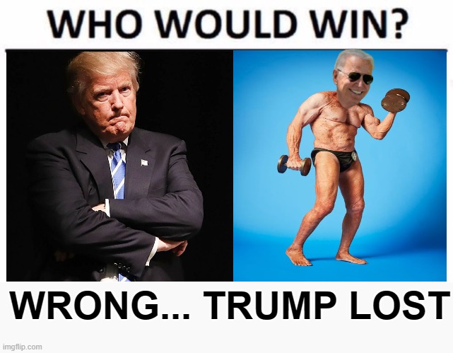 Who would win? | WRONG... TRUMP LOST | image tagged in who would win,trump lost,biden won,democracy,fair election,freedom | made w/ Imgflip meme maker