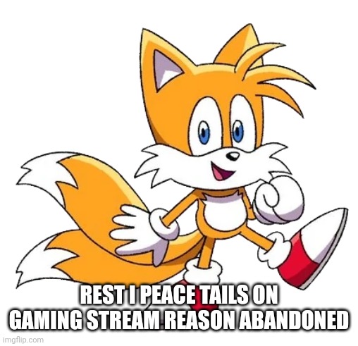 kinda sonic character | REST I PEACE TAILS ON GAMING STREAM REASON ABANDONED | image tagged in kinda sonic character,tails | made w/ Imgflip meme maker