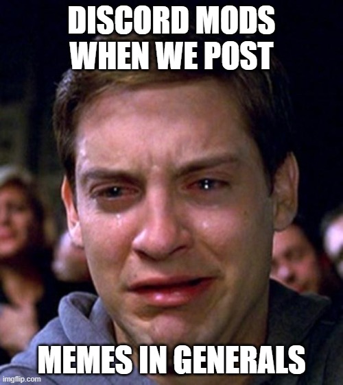 crying peter parker | DISCORD MODS WHEN WE POST; MEMES IN GENERALS | image tagged in crying peter parker | made w/ Imgflip meme maker