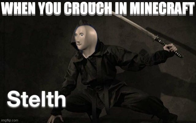 haha | WHEN YOU CROUCH IN MINECRAFT; WHEN YOU CROUCH IN MINECRAFT | image tagged in stelth | made w/ Imgflip meme maker