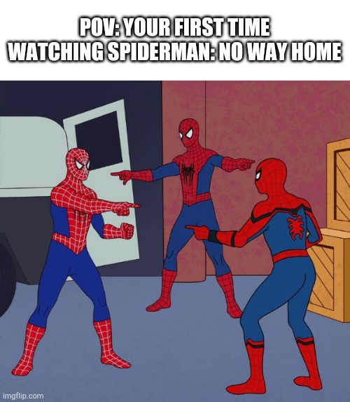 Spoiler | POV: YOUR FIRST TIME WATCHING SPIDERMAN: NO WAY HOME | image tagged in spider man triple,spoiler alert | made w/ Imgflip meme maker