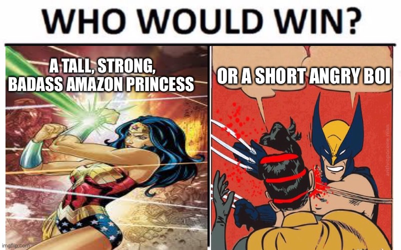 Yeah, Wolverine was no Hugh Jackman in the comics |  A TALL, STRONG, BADASS AMAZON PRINCESS; OR A SHORT ANGRY BOI | image tagged in who would win,wonder woman,wolverine,comics,marvel,dc | made w/ Imgflip meme maker