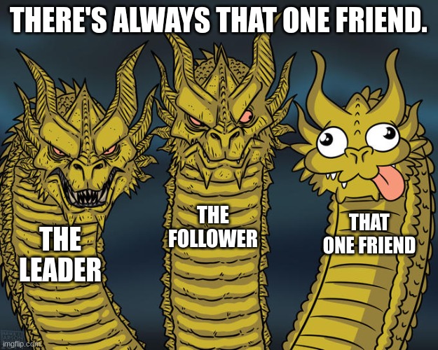 Three-headed Dragon | THERE'S ALWAYS THAT ONE FRIEND. THE FOLLOWER; THAT ONE FRIEND; THE LEADER | image tagged in three-headed dragon | made w/ Imgflip meme maker