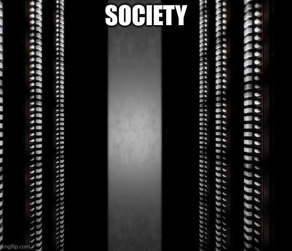 I did it for flamingo | SOCIETY | image tagged in we live in a society | made w/ Imgflip meme maker