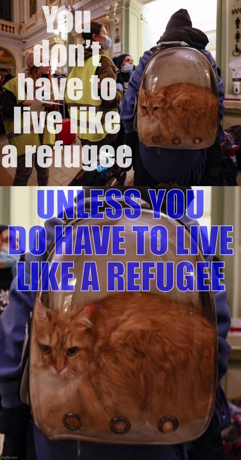 Tom Petty’s song was not written with actual refugees in mind. | You don’t have to live like a refugee; UNLESS YOU DO HAVE TO LIVE LIKE A REFUGEE | image tagged in you do,have to,live like,a,refugee,it really do be like that sometimes | made w/ Imgflip meme maker