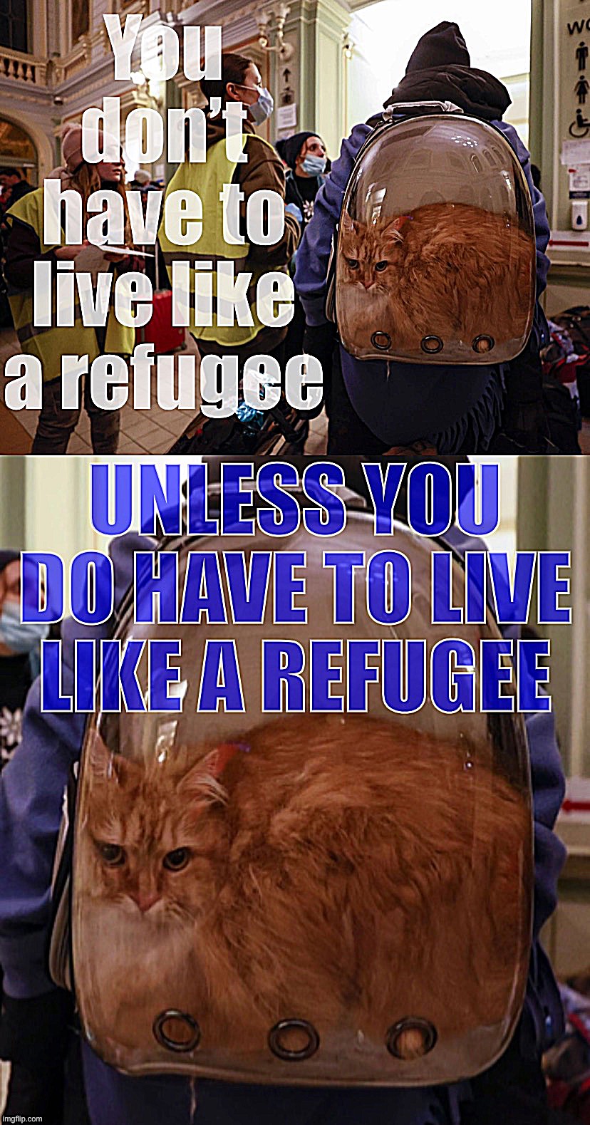 Tom Petty’s song was not written with actual refugees in mind. | image tagged in you do have to live like a refugee | made w/ Imgflip meme maker