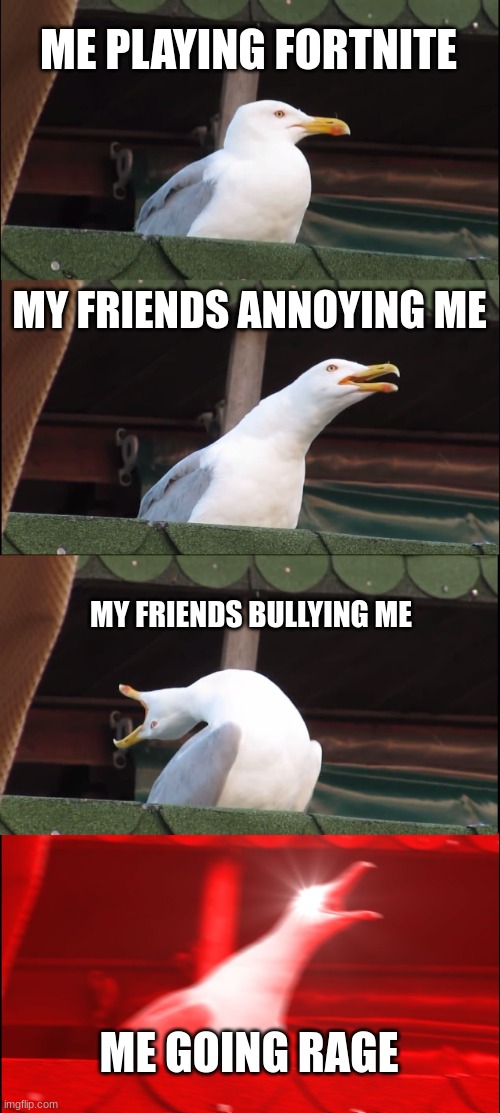 Inhaling Seagull | ME PLAYING FORTNITE; MY FRIENDS ANNOYING ME; MY FRIENDS BULLYING ME; ME GOING RAGE | image tagged in memes,inhaling seagull | made w/ Imgflip meme maker