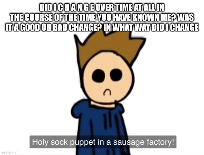 holy sock puppet in a sausage factory | DID I C H A N G E OVER TIME AT ALL IN THE COURSE OF THE TIME YOU HAVE KNOWN ME? WAS IT A GOOD OR BAD CHANGE? IN WHAT WAY DID I CHANGE | image tagged in holy sock puppet in a sausage factory | made w/ Imgflip meme maker