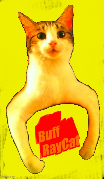 Buff RayCat sticker | Buff
RayCat | image tagged in buff raycat sticker | made w/ Imgflip meme maker