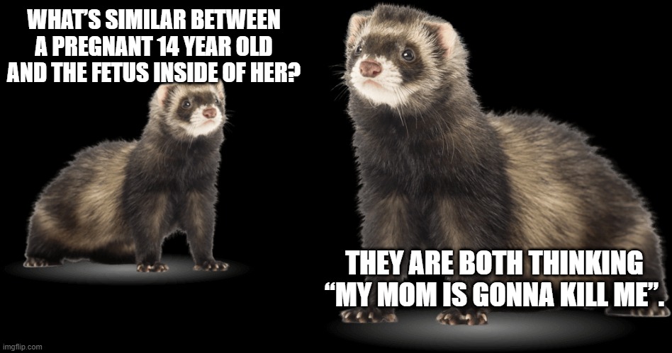WTF Ferrets!? | WHAT’S SIMILAR BETWEEN A PREGNANT 14 YEAR OLD AND THE FETUS INSIDE OF HER? THEY ARE BOTH THINKING “MY MOM IS GONNA KILL ME”. | image tagged in ferret,dark humor | made w/ Imgflip meme maker