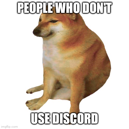 PEOPLE WHO DON'T USE DISCORD | image tagged in cheems | made w/ Imgflip meme maker