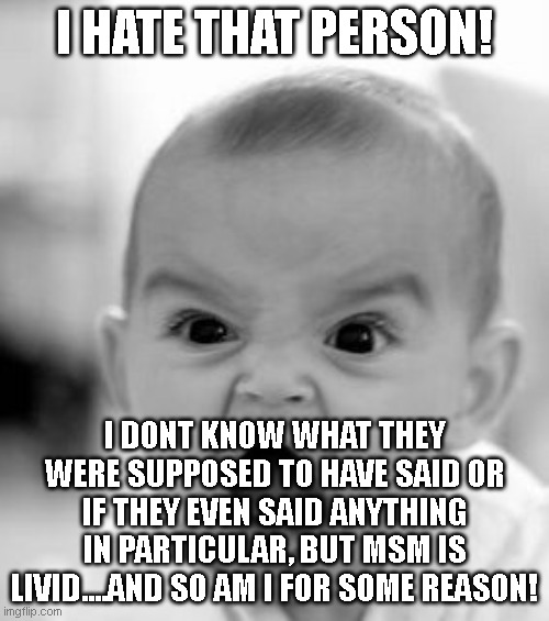 i take a quick look at liberal news, then im come right here to see the lib memes.. | I HATE THAT PERSON! I DONT KNOW WHAT THEY WERE SUPPOSED TO HAVE SAID OR IF THEY EVEN SAID ANYTHING IN PARTICULAR, BUT MSM IS LIVID....AND SO AM I FOR SOME REASON! | image tagged in memes,angry baby | made w/ Imgflip meme maker