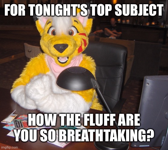 Bigger question is why?.. | FOR TONIGHT'S TOP SUBJECT; HOW THE FLUFF ARE YOU SO BREATHTAKING? | image tagged in world's most interesting furry,wholesome | made w/ Imgflip meme maker