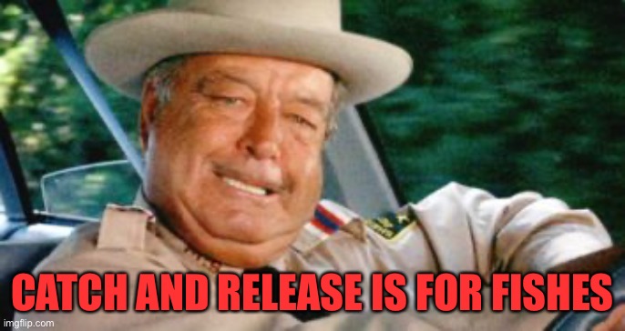 Sheriff Buford T Justice | CATCH AND RELEASE IS FOR FISHES | image tagged in sheriff buford t justice | made w/ Imgflip meme maker