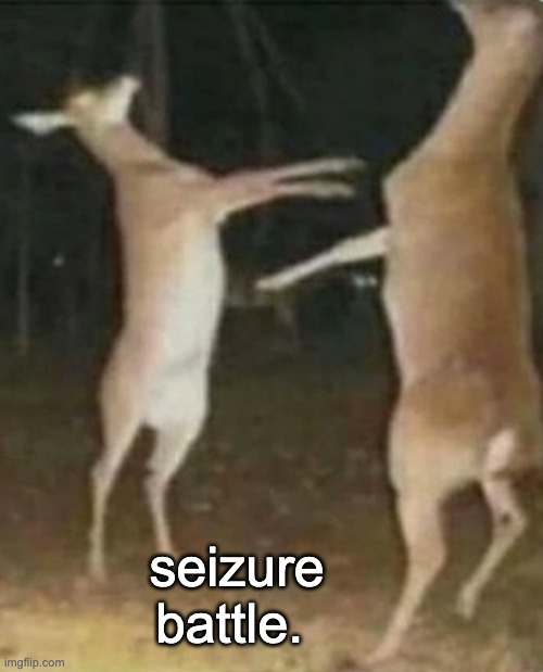cursed | seizure battle. | image tagged in memes,unfunny | made w/ Imgflip meme maker