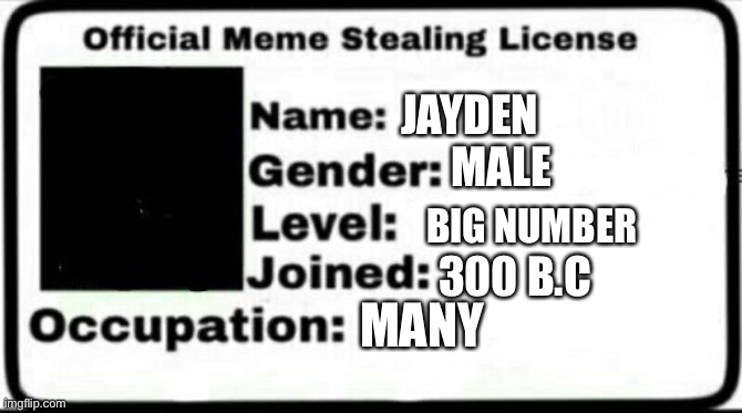 Meme Stealing License | JAYDEN; MALE; BIG NUMBER; 300 B.C; MANY | image tagged in meme stealing license | made w/ Imgflip meme maker