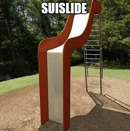If 2020 Was a Slide | SUISLIDE | image tagged in if 2020 was a slide | made w/ Imgflip meme maker