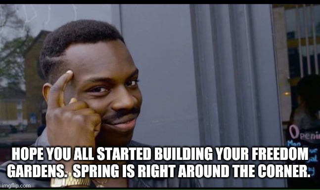 common sense | HOPE YOU ALL STARTED BUILDING YOUR FREEDOM GARDENS.  SPRING IS RIGHT AROUND THE CORNER. | image tagged in common sense | made w/ Imgflip meme maker