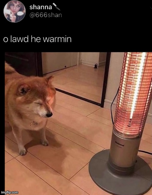 cuute | image tagged in memes,unfunny | made w/ Imgflip meme maker