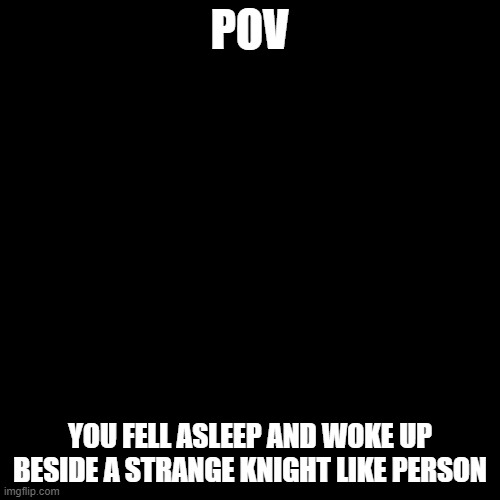 pls im lonley | POV; YOU FELL ASLEEP AND WOKE UP BESIDE A STRANGE KNIGHT LIKE PERSON | made w/ Imgflip meme maker