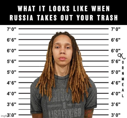 WNBA TRASH | image tagged in britney | made w/ Imgflip meme maker
