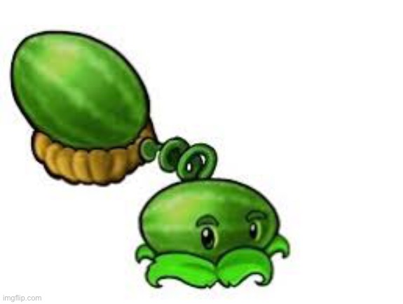 awe the melonge pulet | made w/ Imgflip meme maker