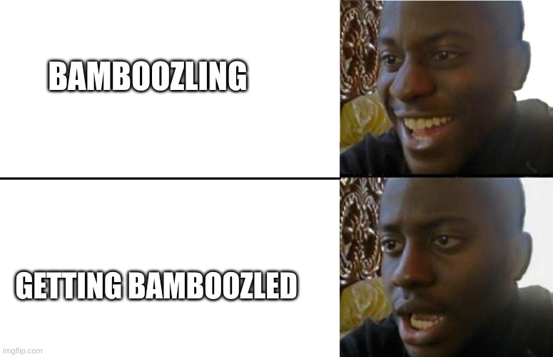 wHeN yOu BaMbooZle | BAMBOOZLING; GETTING BAMBOOZLED | image tagged in realization | made w/ Imgflip meme maker