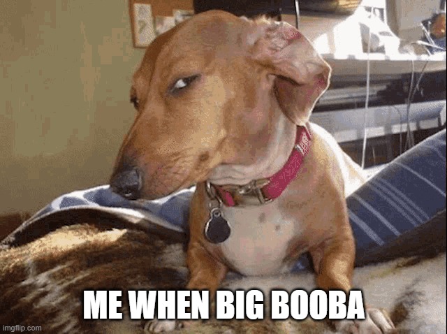 sus dog smiling | ME WHEN BIG BOOBA | image tagged in sus dog smiling | made w/ Imgflip meme maker