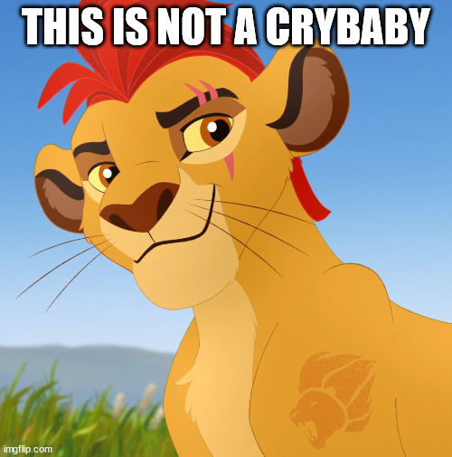 Kion | THIS IS NOT A CRYBABY | image tagged in kion,memes,not,a,crybaby | made w/ Imgflip meme maker
