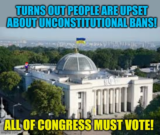Vote early. Vote often! | TURNS OUT PEOPLE ARE UPSET ABOUT UNCONSTITUTIONAL BANS! ALL OF CONGRESS MUST VOTE! | image tagged in vote,fucq,incontito,gai | made w/ Imgflip meme maker