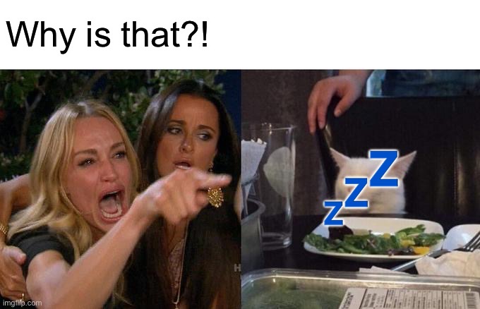 Woman Yelling At Cat Meme | Why is that?! ? | image tagged in memes,woman yelling at cat | made w/ Imgflip meme maker