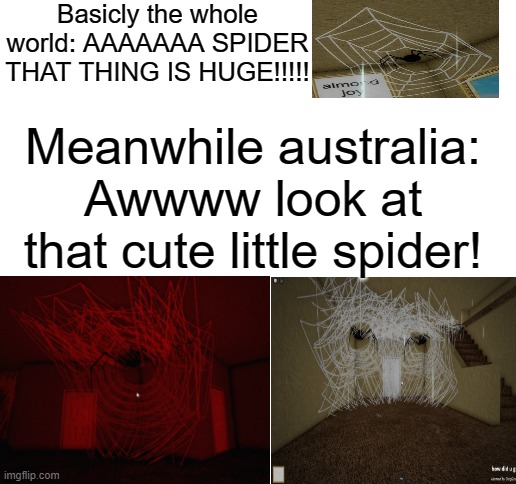 Australia be like | Basicly the whole world: AAAAAAA SPIDER THAT THING IS HUGE!!!!! Meanwhile australia: Awwww look at that cute little spider! | image tagged in blank white template,spider,roblox | made w/ Imgflip meme maker