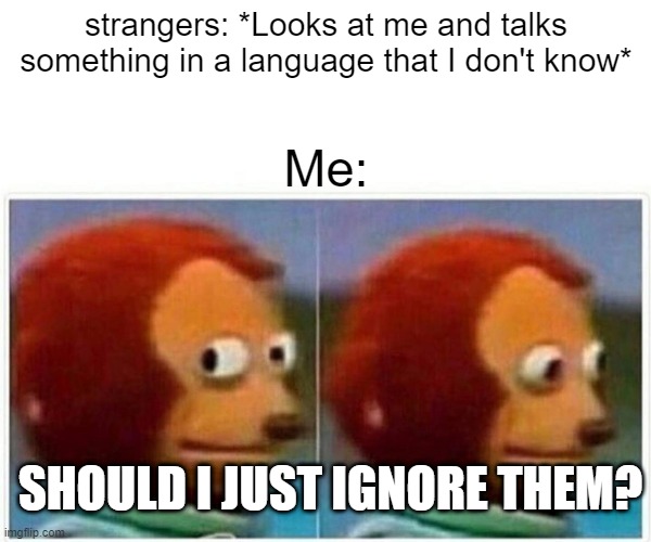 awkward | strangers: *Looks at me and talks something in a language that I don't know*; Me:; SHOULD I JUST IGNORE THEM? | image tagged in memes,monkey puppet | made w/ Imgflip meme maker