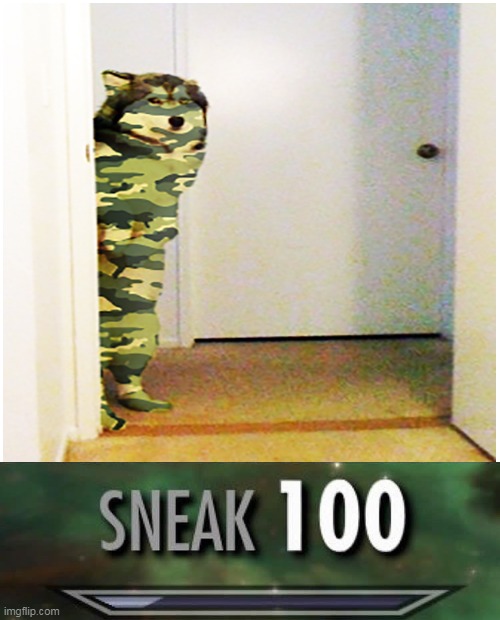 doggo stealth 100 | image tagged in sneak 100 | made w/ Imgflip meme maker