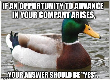 Actual Advice Mallard | IF AN OPPORTUNITY TO ADVANCE IN YOUR COMPANY ARISES, YOUR ANSWER SHOULD BE "YES". | image tagged in memes,actual advice mallard | made w/ Imgflip meme maker