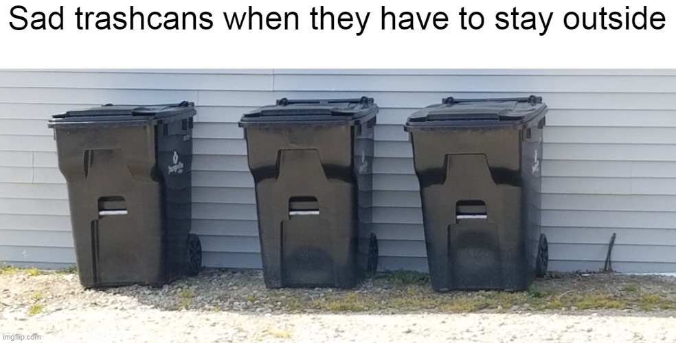 Sad trashcans when they have to stay outside | image tagged in meme,memes,humor | made w/ Imgflip meme maker